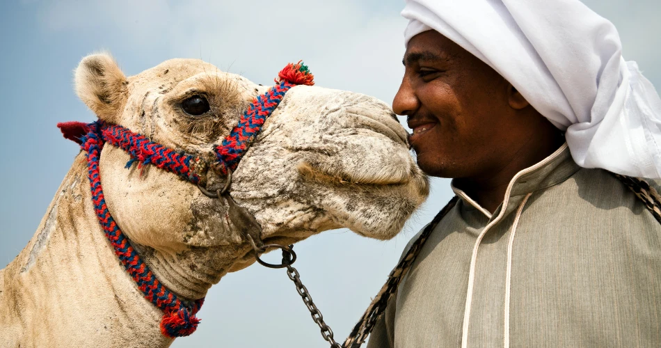 Sadu House. Memelihara Warisan Beduin Kuwait