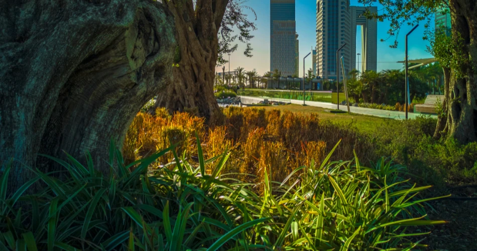 Taman Al Shaheed. Taman Perbandaran Terbesar di Kota Kuwait